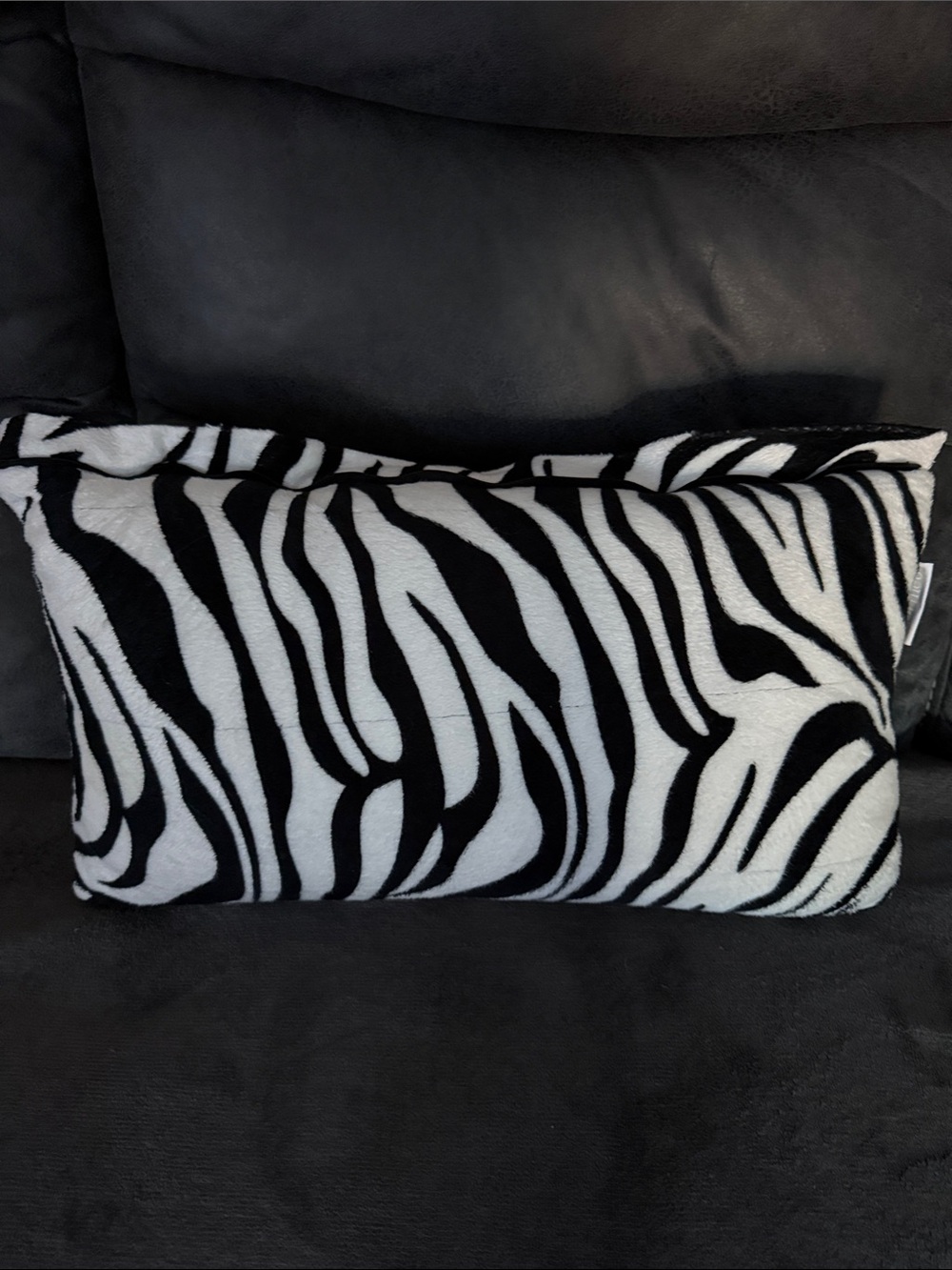 Zebra Pattern Decorative Accent Pillow - Black and White